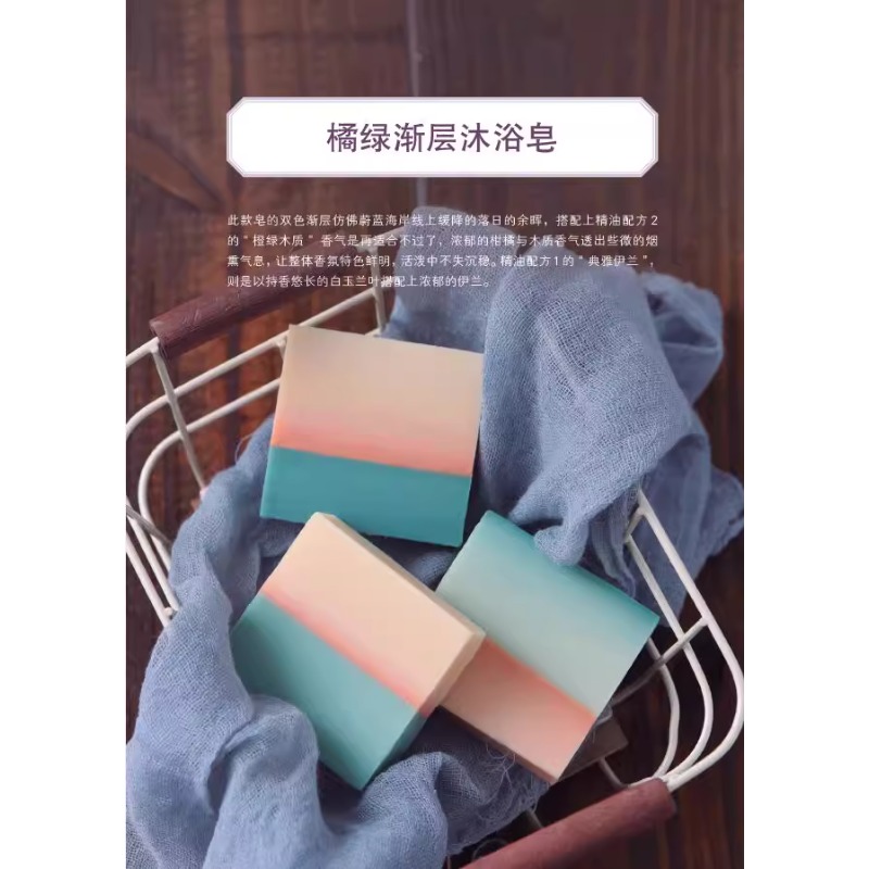 Livre de fabrication de savon  - Soap Making Guide Book avis et prix